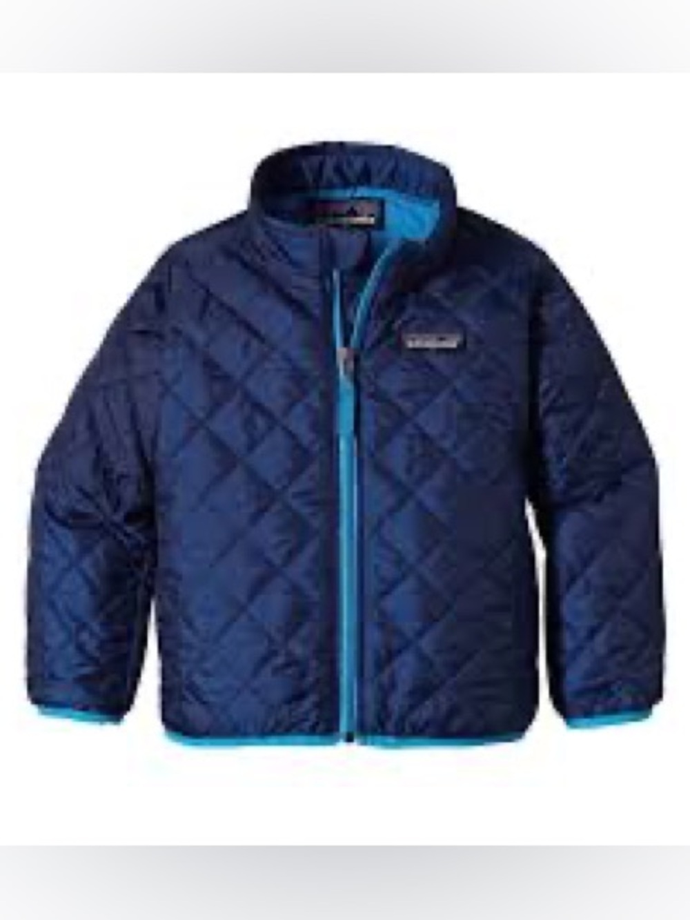Patagonia Navy Jacket with Turquoise Trim